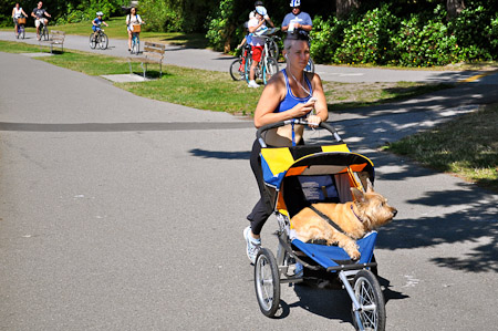 Zaterdag 30 juli -  Vancouver, British Columbia...Stanley Park