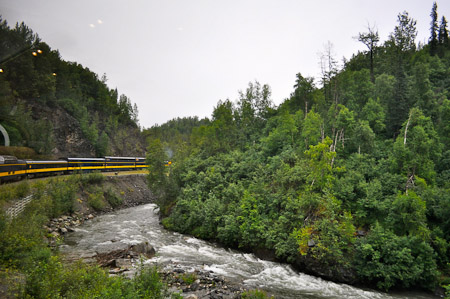 Dinsdag 2 augsutus - Panoramische Wilderness Express treinrit naar Denali