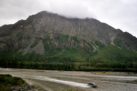 Dinsdag 2 augsutus - Panoramische Wilderness Express treinrit naar Denali