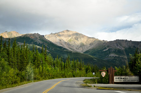 Woensdag 3 augsutus - Tundra Wilderness Tour diep in het Denali National Park, op zoek naar oa rendieren en beren