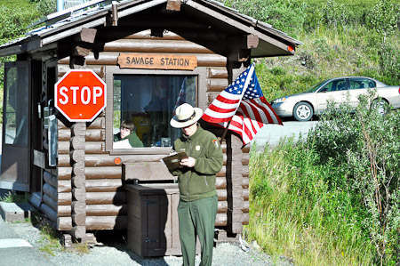 Woensdag 3 augsutus - Tundra Wilderness Tour diep in het Denali National Park, op zoek naar oa rendieren en beren