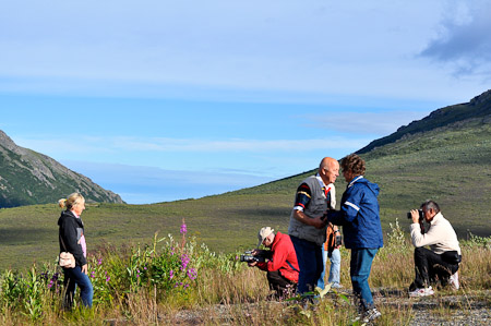 Woensdag 3 augsutus - Tundra Wilderness Tour diep in het Denali National Park, op zoek naar oa rendieren en beren