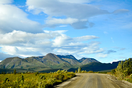 Woensdag 3 augsutus - Tundra Wilderness Tour diep in het Denali National Park, op zoek naar oa rendieren en beren