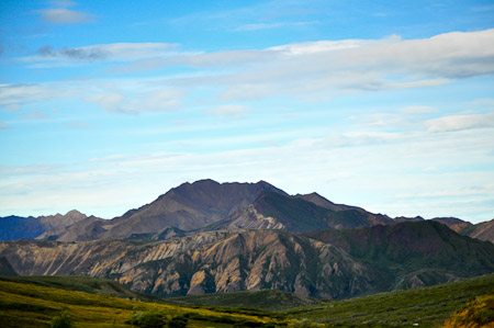 Woensdag 3 augsutus - Tundra Wilderness Tour diep in het Denali National Park, op zoek naar oa rendieren en beren