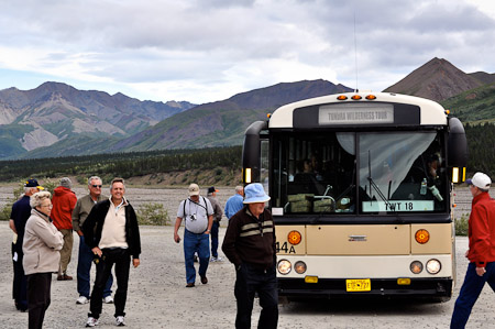 Woensdag 3 augsutus - Tundra Wilderness Tour diep in het Denali National Park, op zoek naar oa rendieren en beren