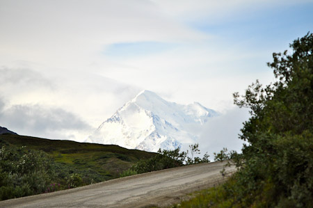 Woensdag 3 augsutus - Tundra Wilderness Tour diep in het Denali National Park, op zoek naar oa rendieren en beren