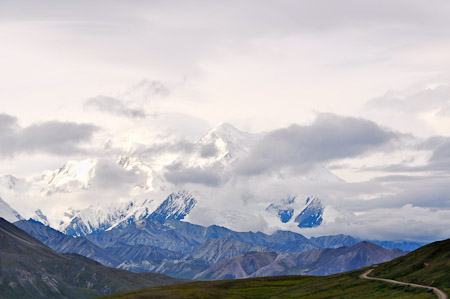 Woensdag 3 augsutus - Tundra Wilderness Tour diep in het Denali National Park, op zoek naar oa rendieren en beren