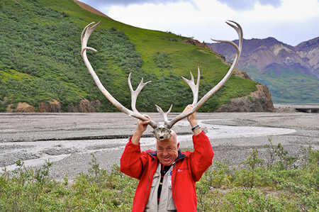 Woensdag 3 augsutus - Tundra Wilderness Tour diep in het Denali National Park, op zoek naar oa rendieren en beren