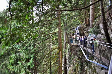 Vrijdag 12 augustus 2011 -  Vancouver, British Columbia...Capilano Park waar we over de Capilano Suspension Bridge hoog in de bomen wandelen
