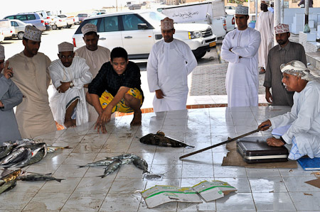 Woensdag 9 maart 2011 -  Muscat - Oman - de visveiling in Barkha