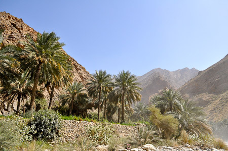 Woensdag 9 maart 2011 -  Muscat - Oman - met de jeeps door de Wadi Bani Auf  