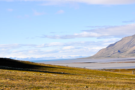 Vrijdag 15 juli 2011 - verkenning van Spitsbergen
